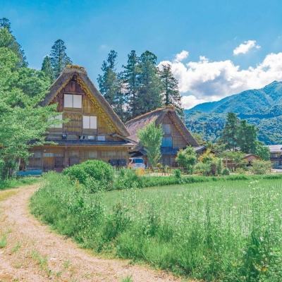 大发黄金版app下载下载手机版